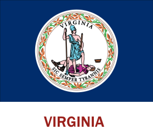 Virginia Web Hosting